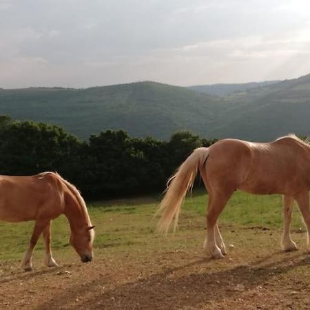 B&B Ca Montemezzano Верона Экстерьер фото