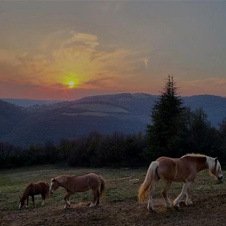 B&B Ca Montemezzano Верона Экстерьер фото