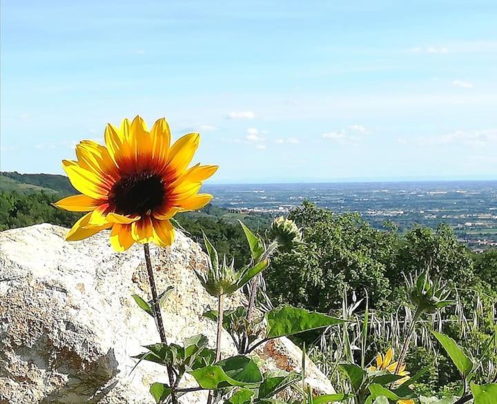 B&B Ca Montemezzano Верона Экстерьер фото